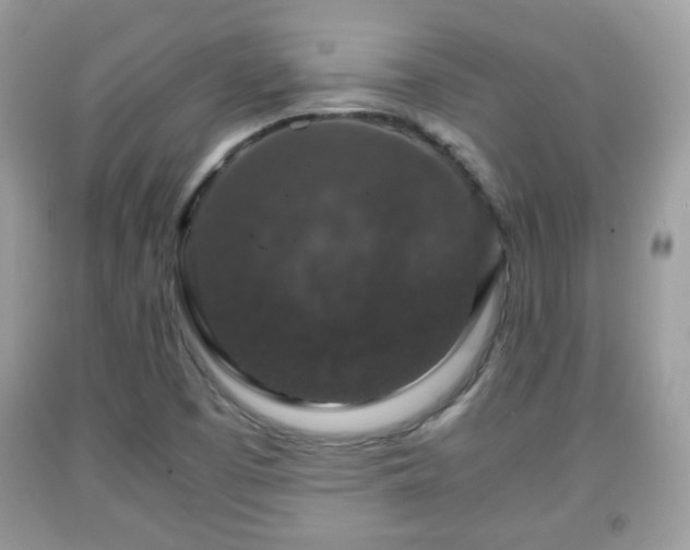 X0000091961457200709131216