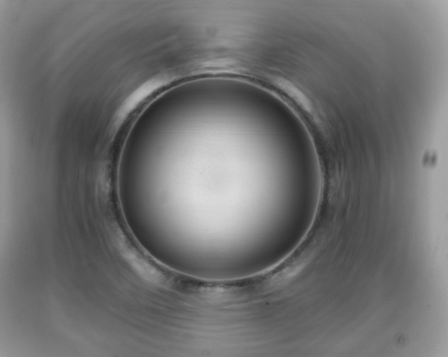 X0000091961458200709131216