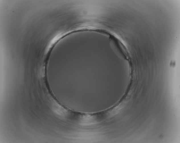 X0000091961459200709131216