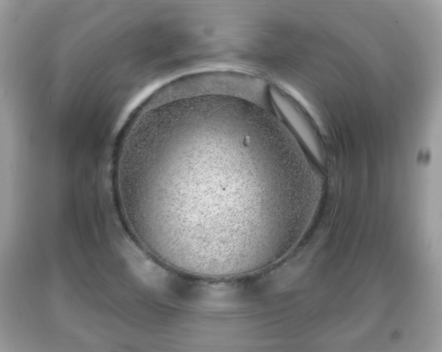 X0000091961460200709131216