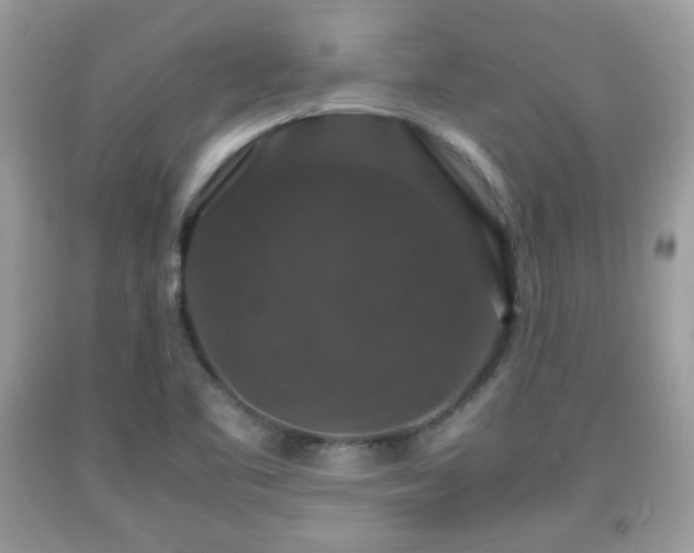 X0000091961461200709131216