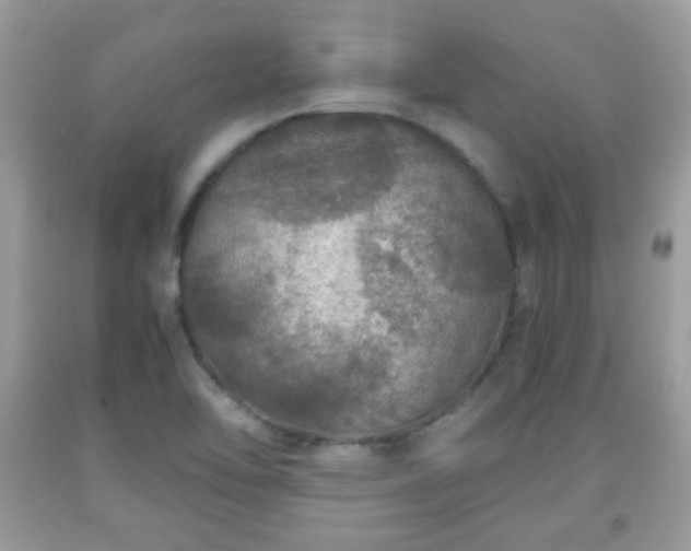 X0000091961462200709131216