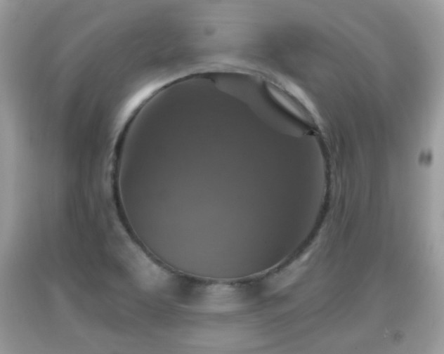 X0000091961463200709131216