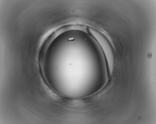 X0000091961464200709131216