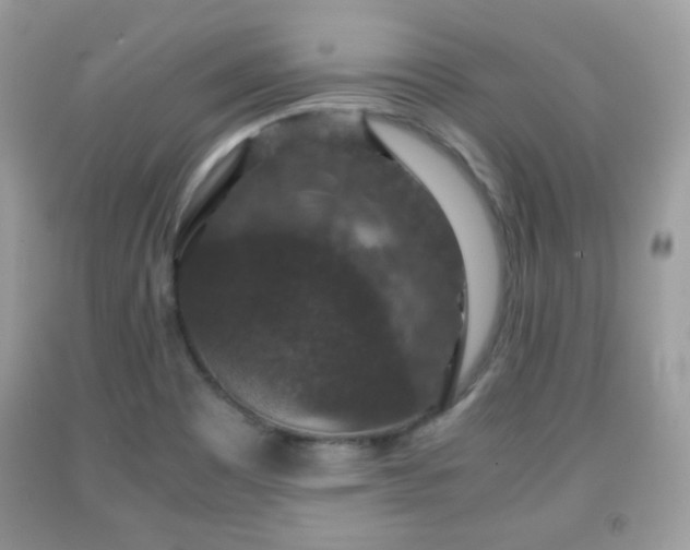 X0000091961465200709131216