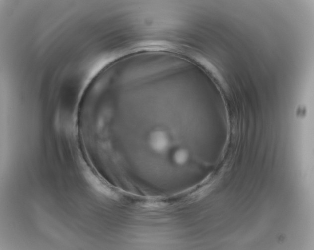 X0000091961466200709131216