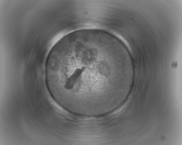 X0000091961467200709131216