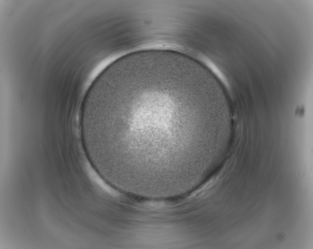 X0000091961468200709131216