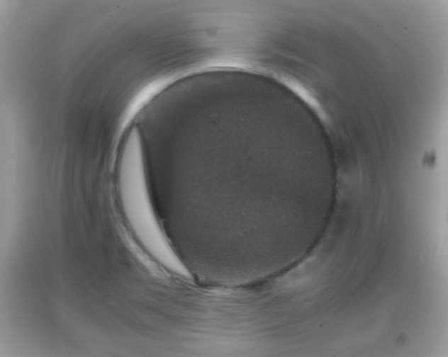 X0000091961469200709131216