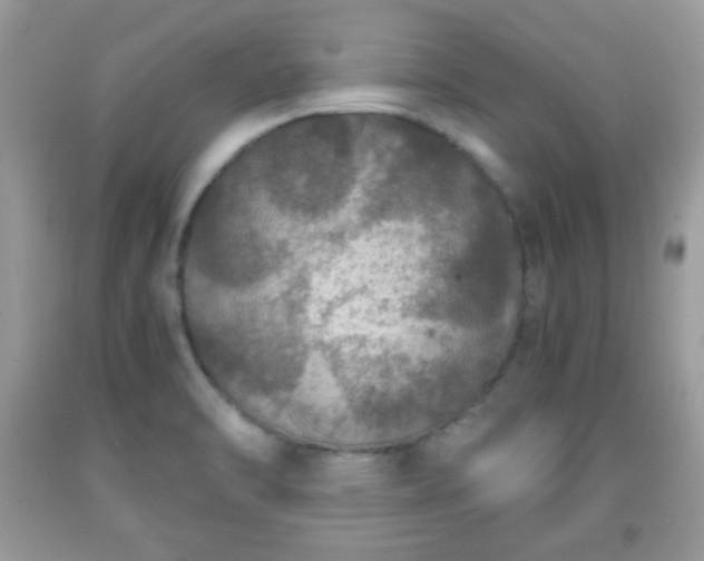 X0000091961470200709131216