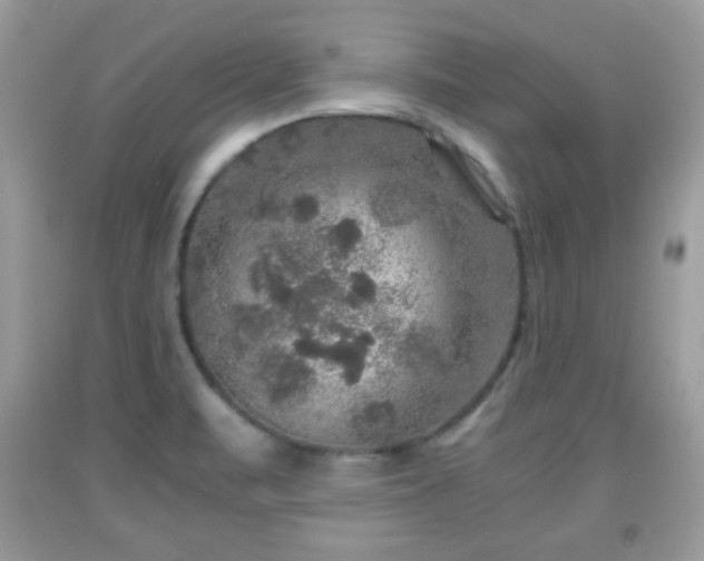 X0000091961471200709131216