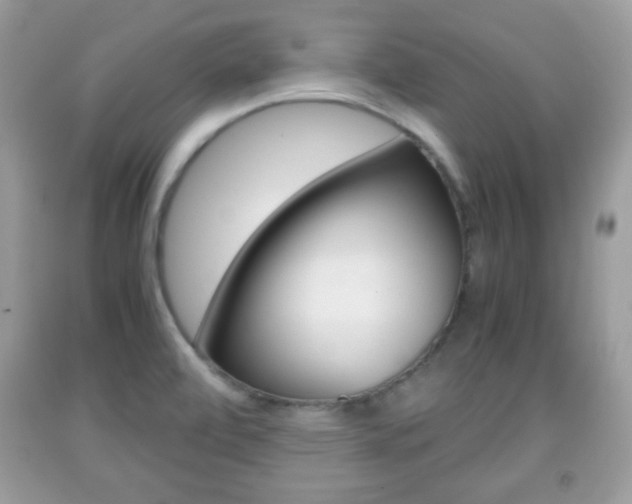 X0000091961472200709131216