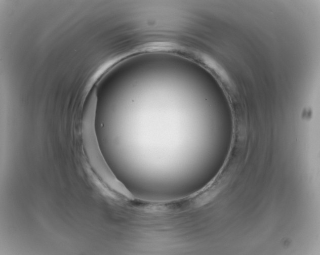 X0000091961473200709131216