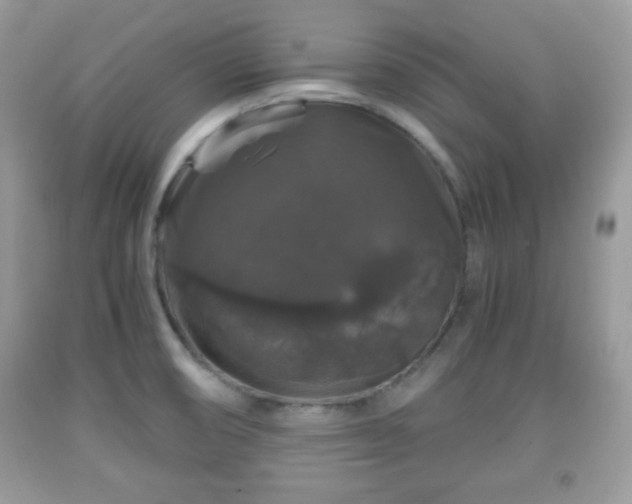 X0000091961474200709131216