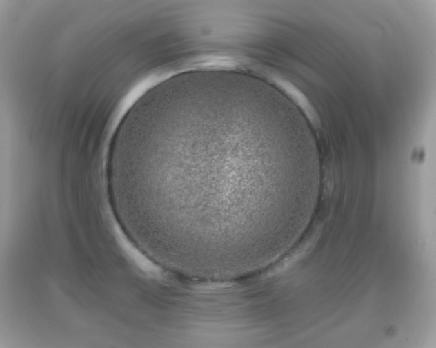 X0000091961475200709131216