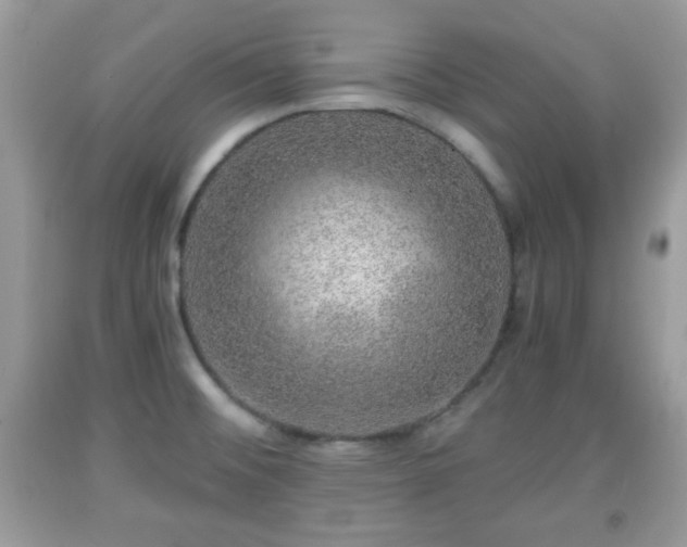 X0000091961476200709131216