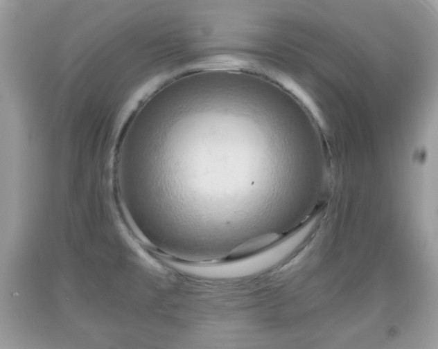 X0000091961477200709131216