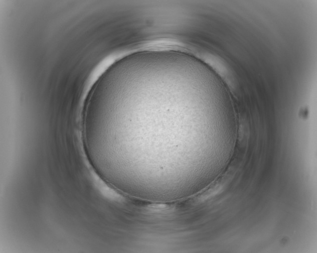 X0000091961478200709131216