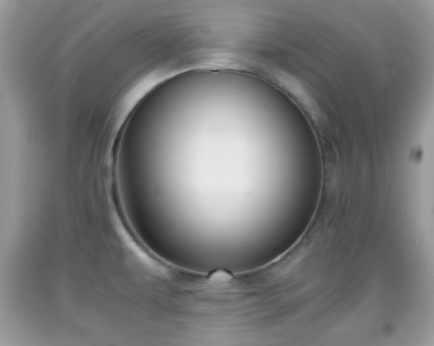 X0000091961479200709131216