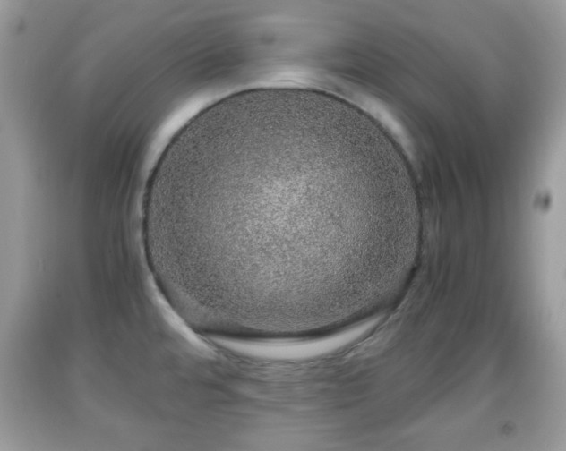 X0000091961480200709131216