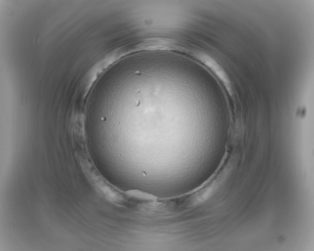 X0000091961481200709131216