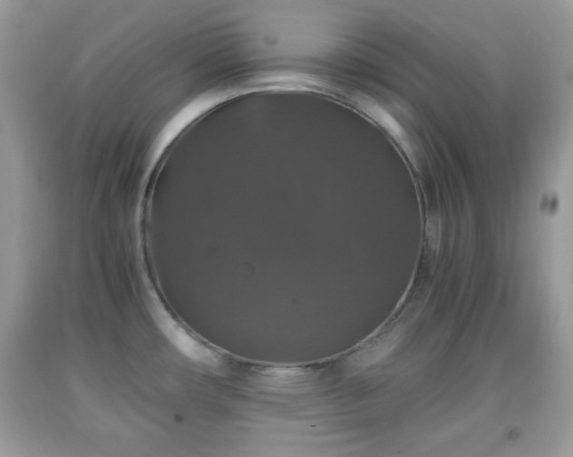 X0000091961482200709131216