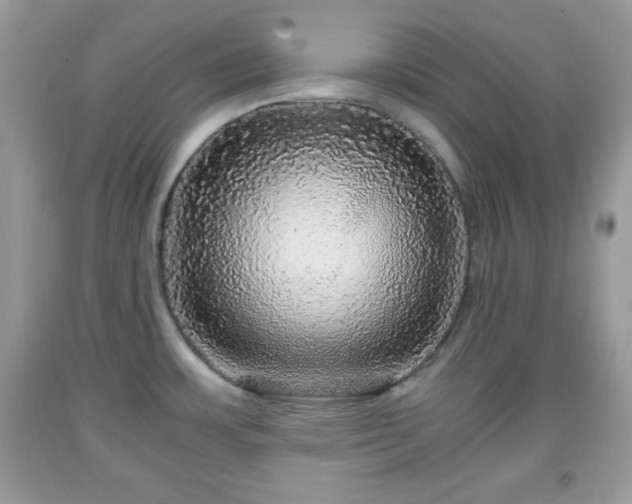 X0000091961483200709131216