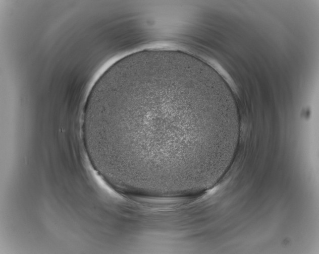 X0000091961484200709131216