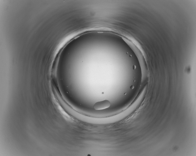 X0000091961485200709131216