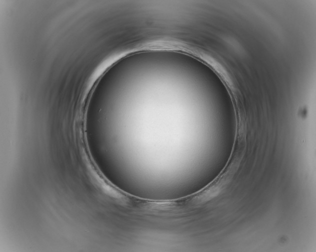 X0000091961486200709131216