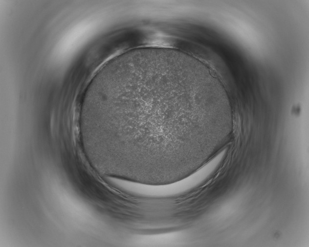 X0000091961487200709131216