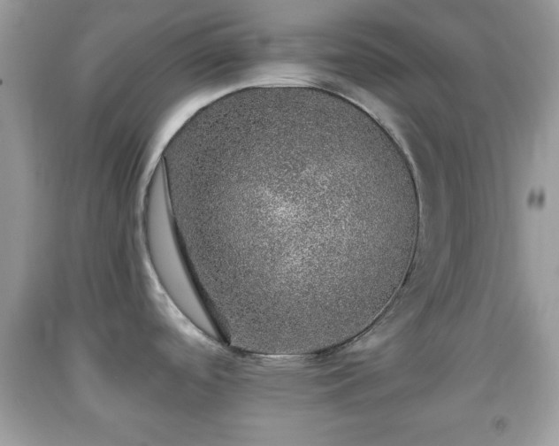 X0000091961488200709131216