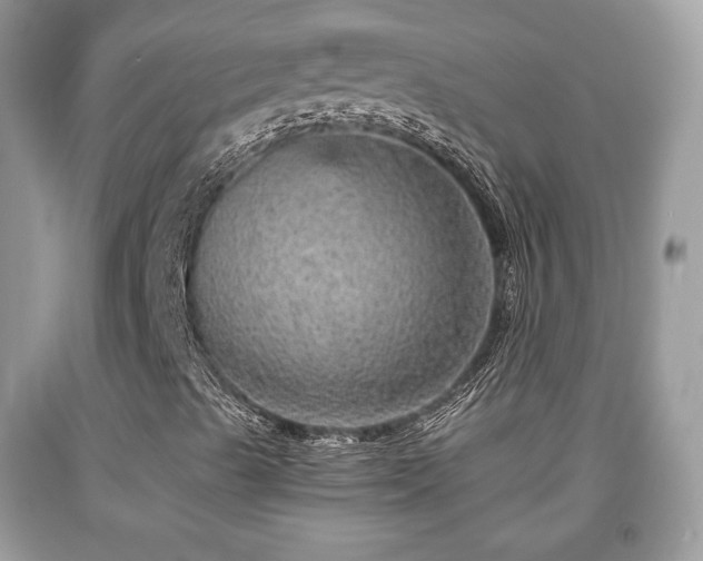 X0000091961489200709131215