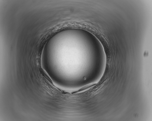 X0000091961490200709131215