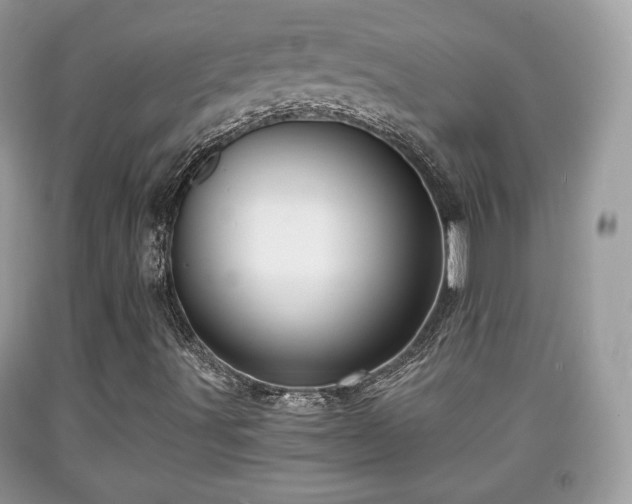 X0000091961491200709131215