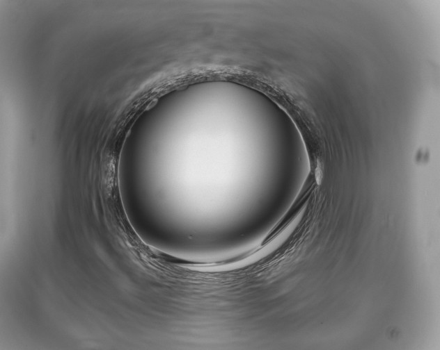 X0000091961492200709131215