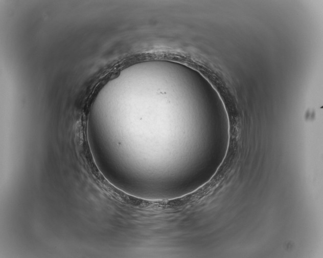 X0000091961493200709131215