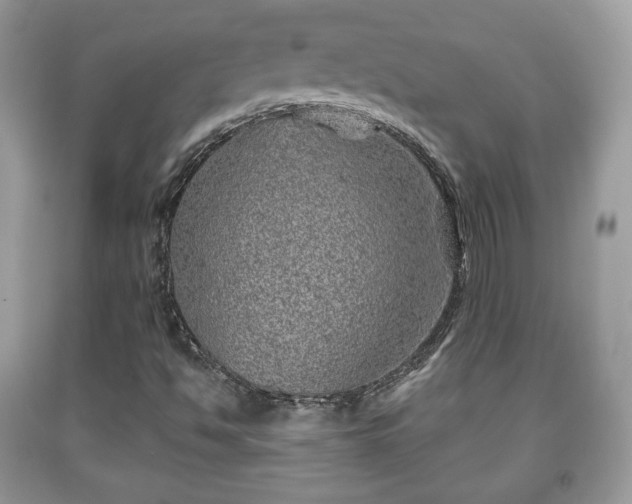 X0000091961494200709131215