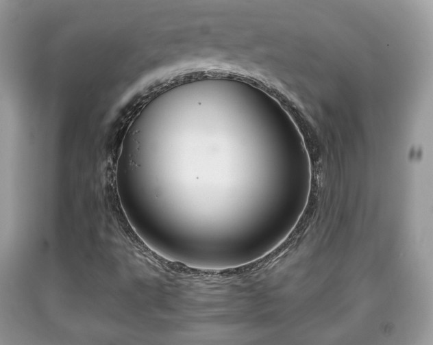 X0000091961495200709131215