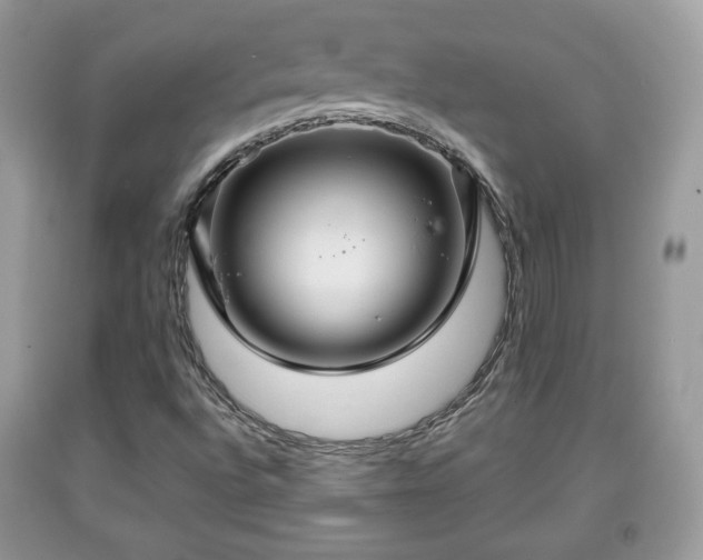 X0000091961496200709131215