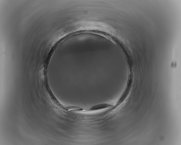 X0000091961497200709131215