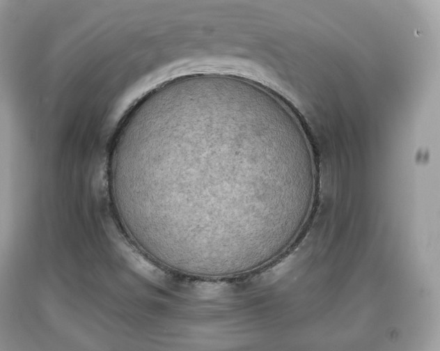 X0000091961498200709131215