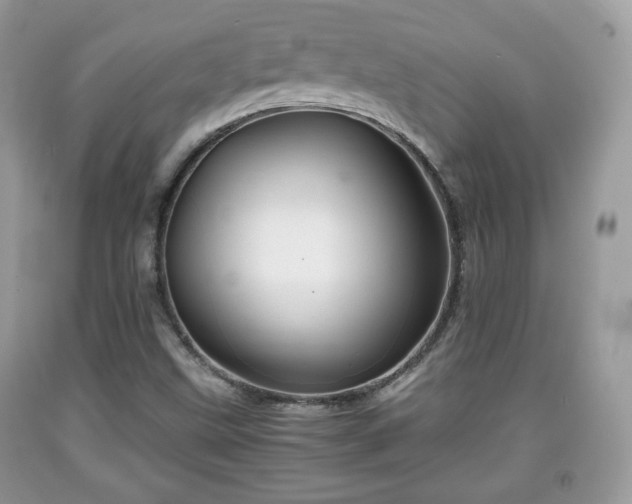 X0000091961499200709131215