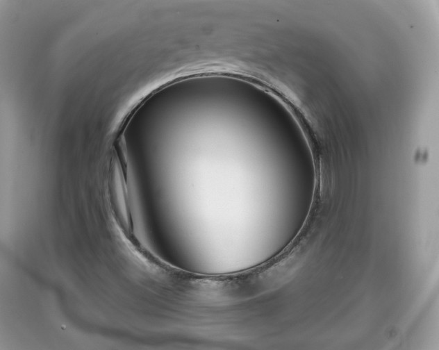 X0000091961500200709131215