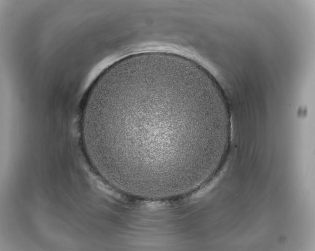 X0000091961501200709131215