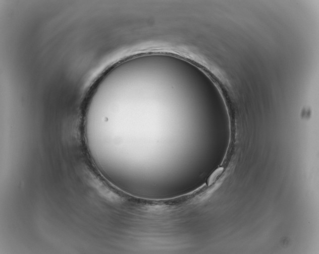 X0000091961502200709131215