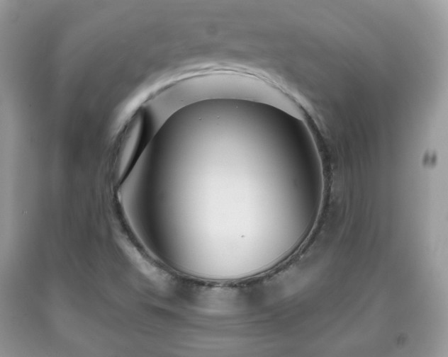 X0000091961503200709131215