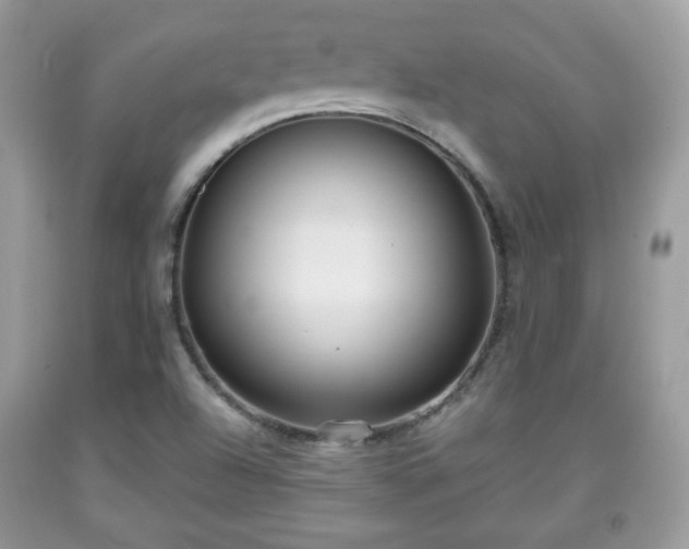 X0000091961504200709131215