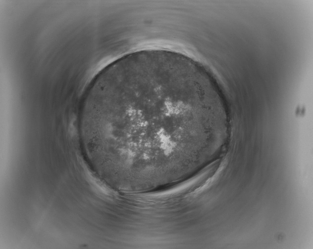 X0000091961505200709131215