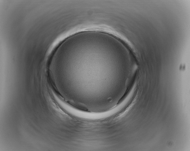 X0000091961506200709131215